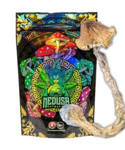 Buy Amazonian Magic Mushrooms Medusa Extracts Online