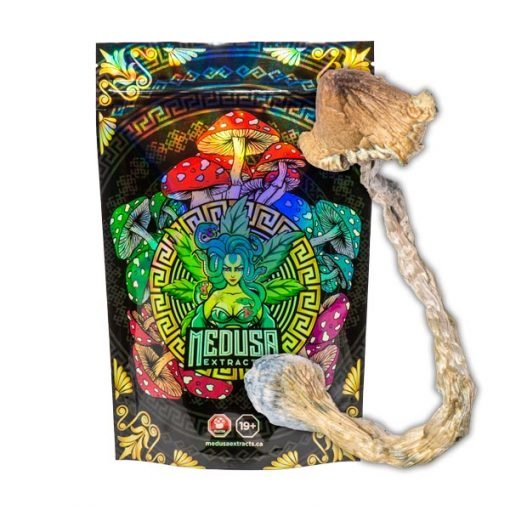 Amazonian-Magic-Mushrooms-Medusa-Extracts.jpg