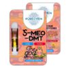 Buy Purecybin 5-MeO DMT Cartridge .5ml Online