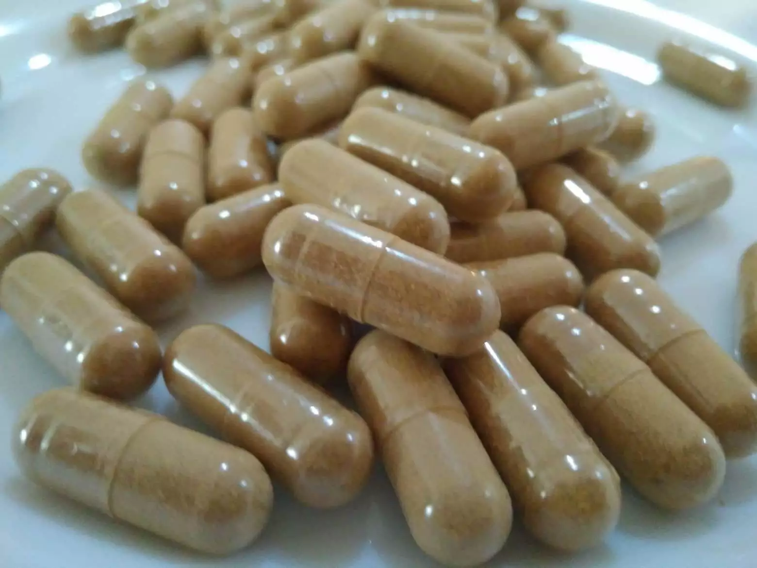 buy-ibogaine-capsule-online_6238982903b97.webp
