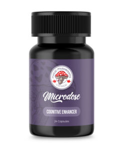 Cognitive Enhancer Microdose Capsules (24) | Magic Mushrooms Canada